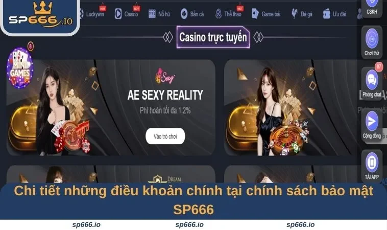 Chi tiết những điều khoản chính tại chính sách bảo mật SP666