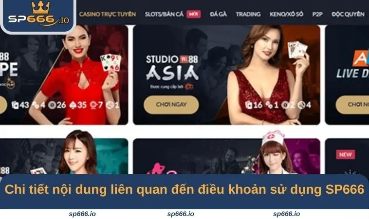 Chi tiết nội dung liên quan đến điều khoản sử dụng SP666