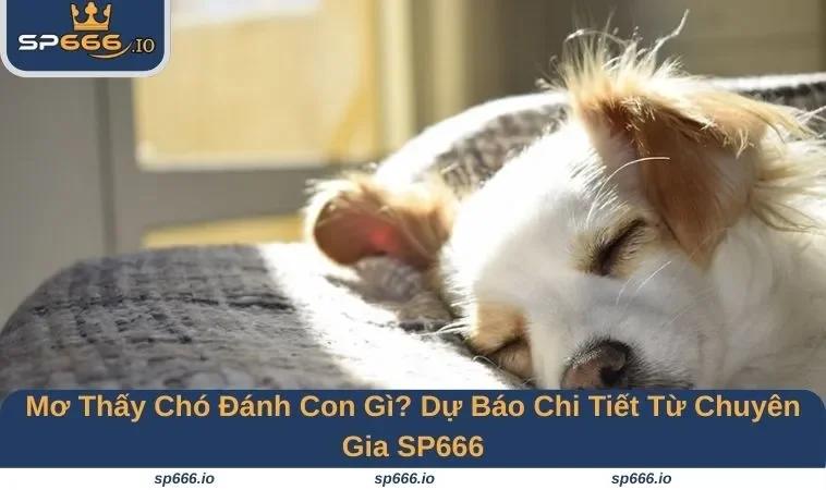 Mơ Thấy Chó Đánh Con Gì