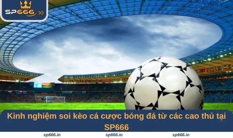 Kinh nghiệm soi kèo cá cược bóng đá từ các cao thủ tại SP666